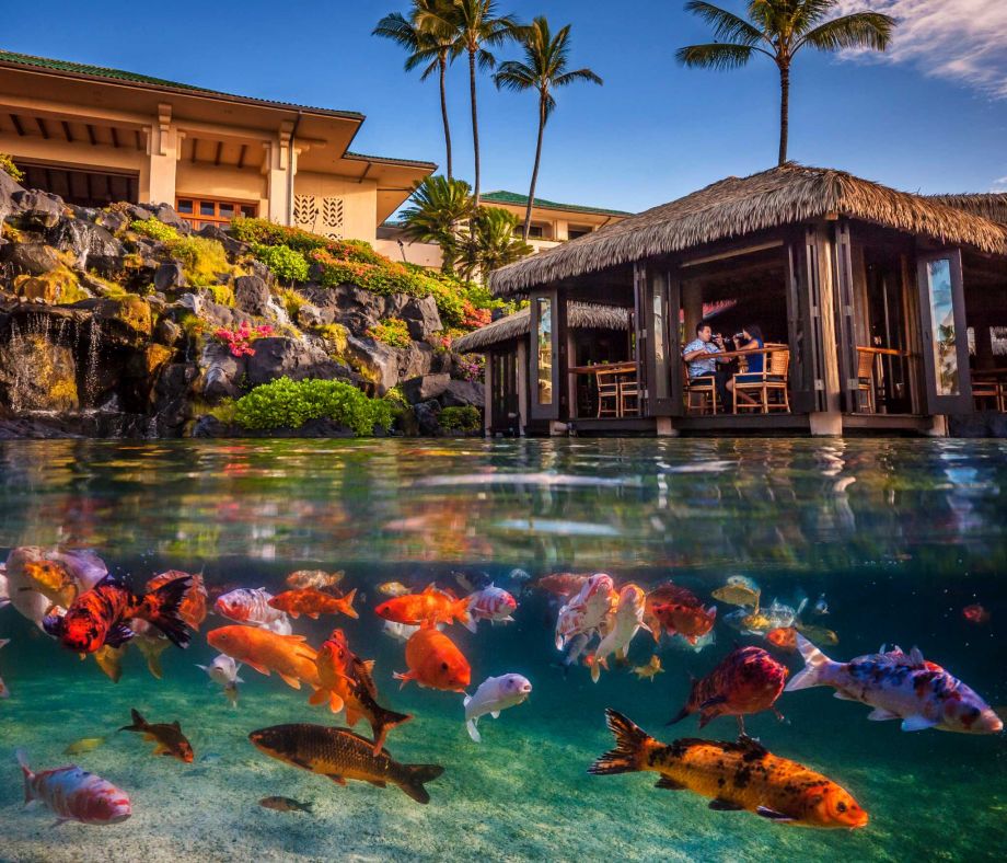 Grand Hyatt Kauai